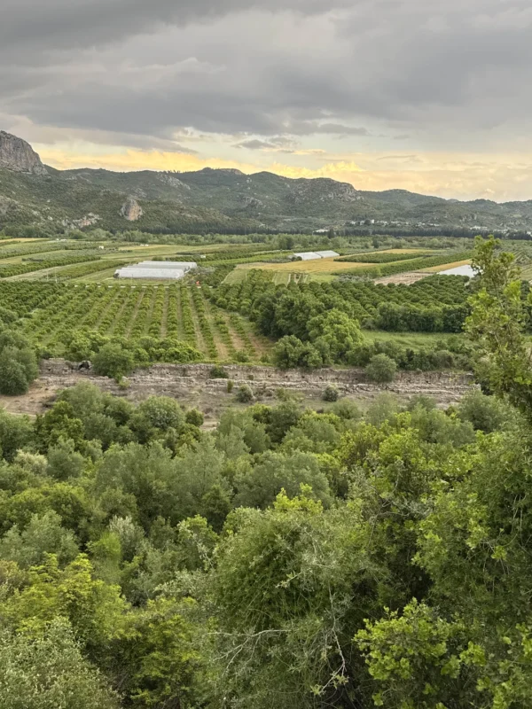 Из Сиде — в Тазы каньон и древний Аспендос!