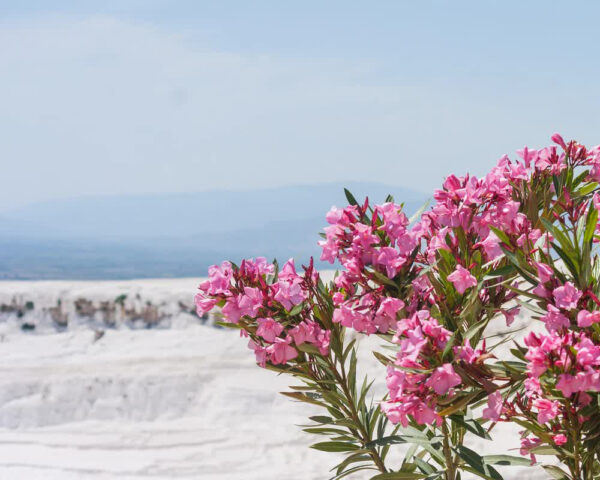 2-в-1-Памуккале-и-древний-Иераполис-4