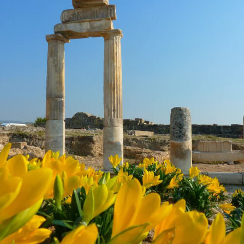 2-в-1-Памуккале-и-древний-Иераполис-9