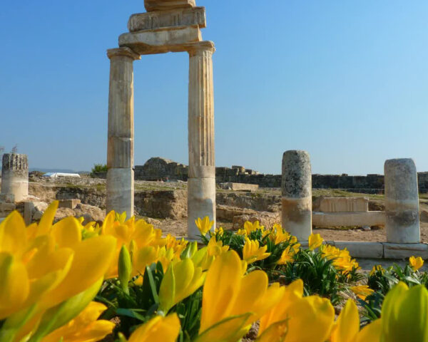 2-в-1-Памуккале-и-древний-Иераполис-9