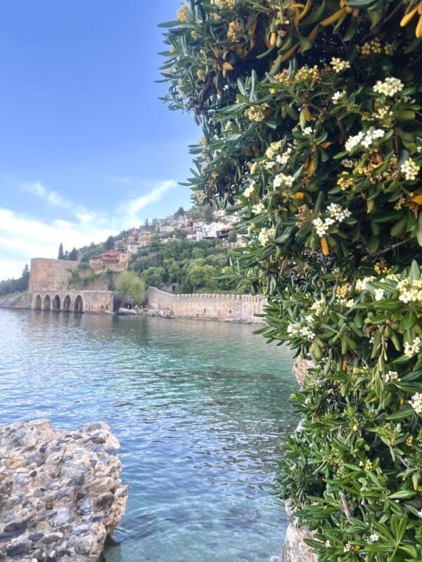 Аланья и её древняя крепость — изображение 31