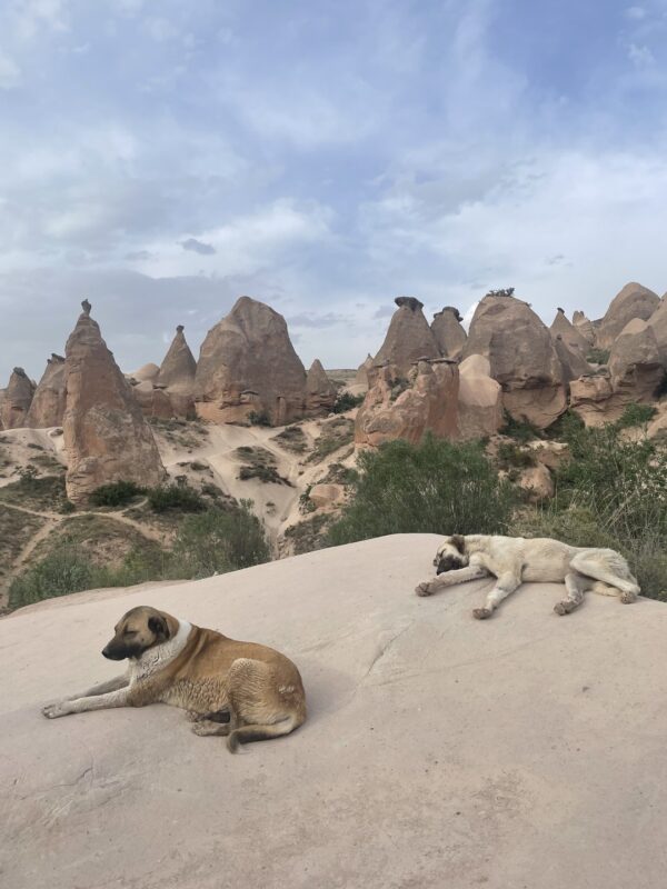 Все-краски-Каппадокии