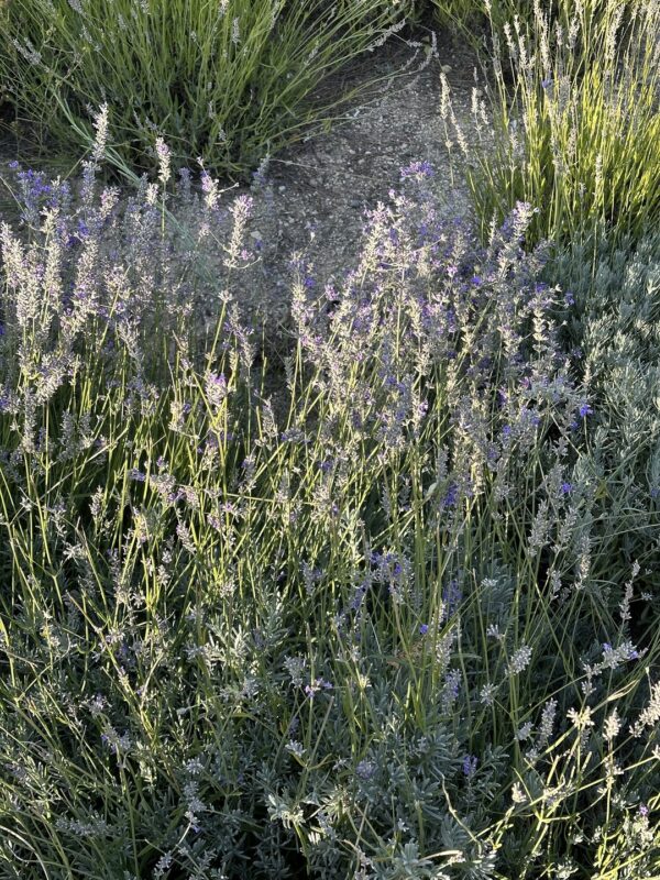 Все-краски-Каппадокии