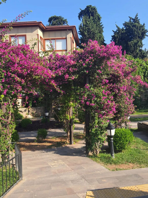 Та-самая-Анталья-Старый-город-и-его-история-7